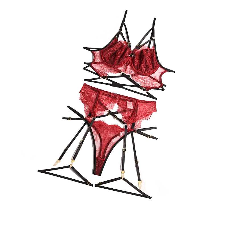Новое Кружевное сексуальное ни – обзор и цена Sheer Bra Lace